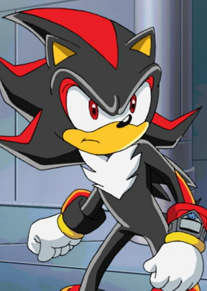Shadow the Hedgehog (Sonic X) photo