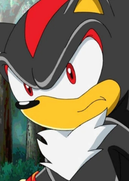 Shadow the Hedgehog (Sonic X) photo