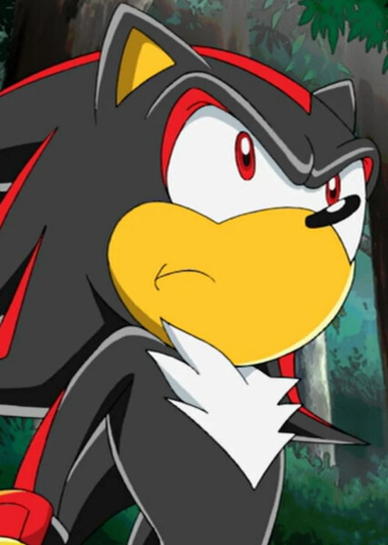 Shadow the Hedgehog (Sonic X) photo