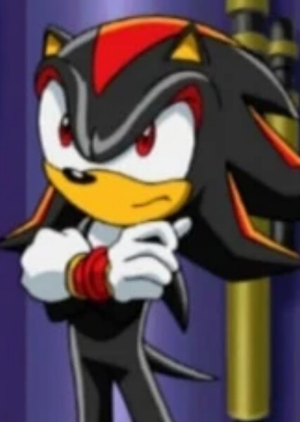 Shadow the Hedgehog (Sonic X) photo