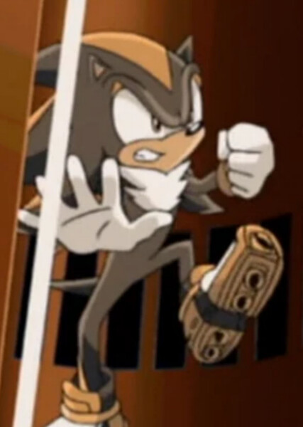 Shadow the Hedgehog (Sonic X) photo