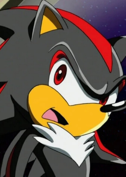 Shadow the Hedgehog (Sonic X) photo