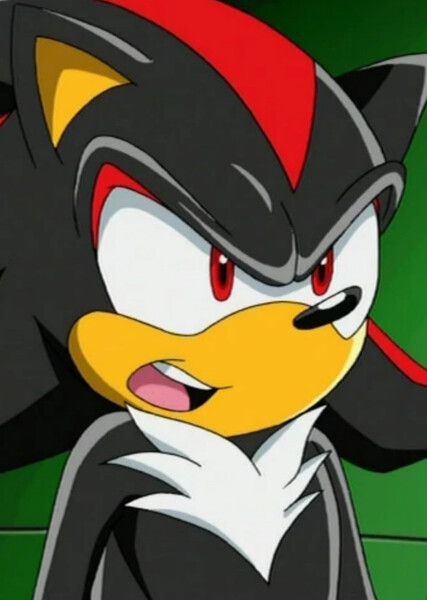 Shadow the Hedgehog (Sonic X) photo