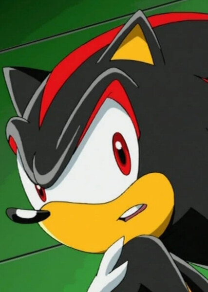 Shadow the Hedgehog (Sonic X) photo