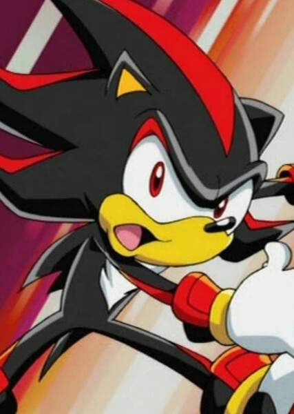 Shadow the Hedgehog (Sonic X) photo