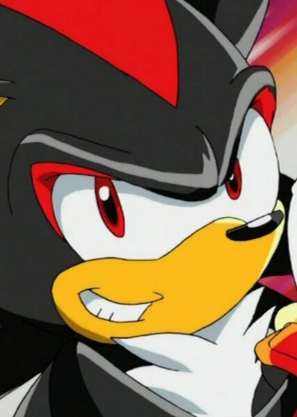 Shadow the Hedgehog (Sonic X) photo