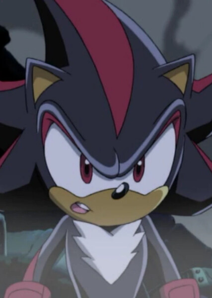 Shadow the Hedgehog (Sonic X) photo