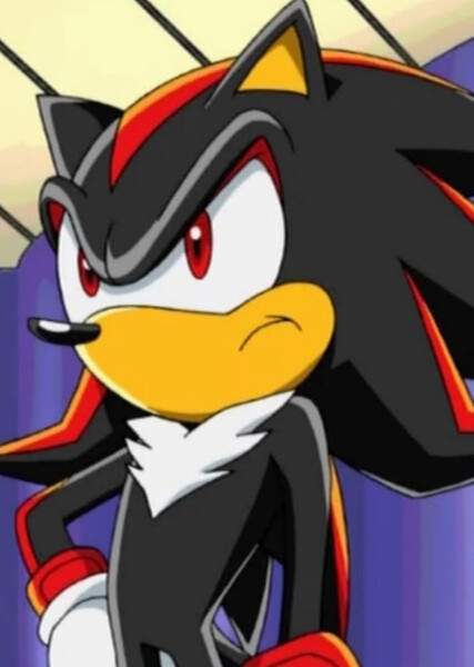 Shadow the Hedgehog (Sonic X) photo