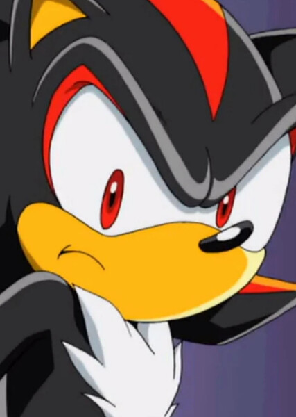 Shadow the Hedgehog (Sonic X) photo