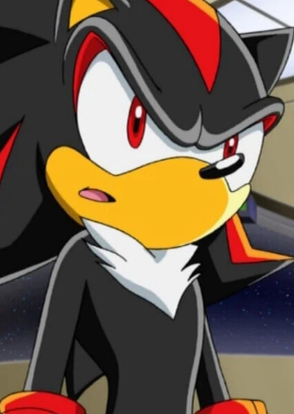 Shadow the Hedgehog (Sonic X) photo