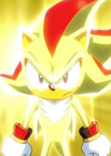 Shadow the Hedgehog (Sonic X) photo