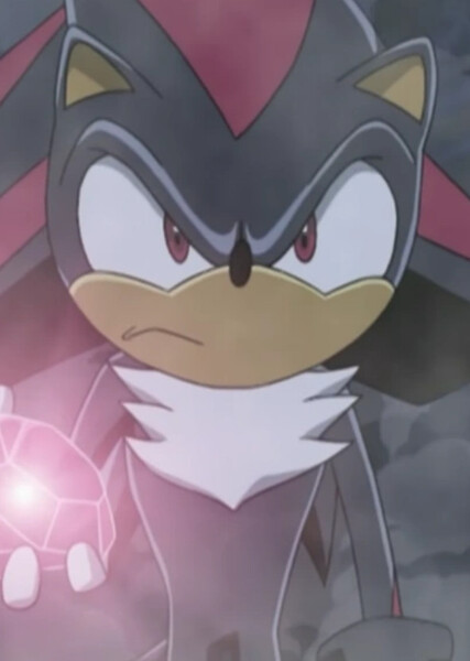 Shadow the Hedgehog (Sonic X) photo