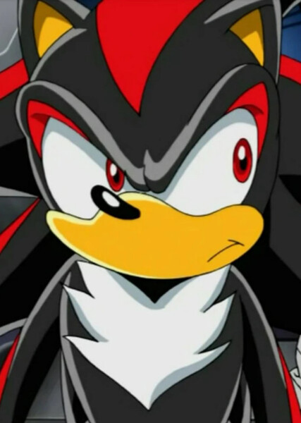 Shadow the Hedgehog (Sonic X) photo