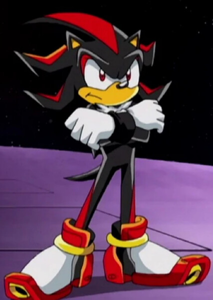 Shadow the Hedgehog (Sonic X) photo