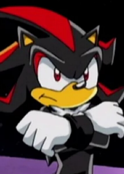 Shadow the Hedgehog (Sonic X) photo