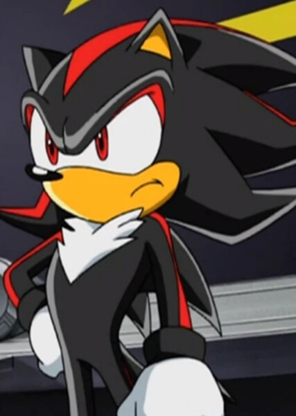 Shadow the Hedgehog (Sonic X) photo