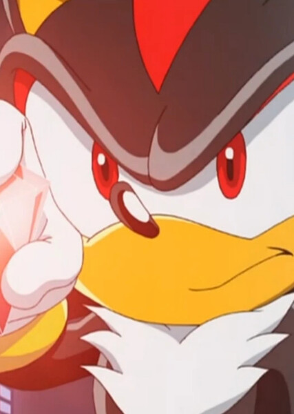 Shadow the Hedgehog (Sonic X) photo