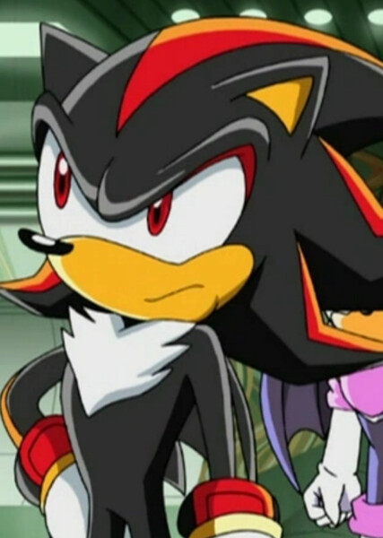 Shadow the Hedgehog (Sonic X) photo