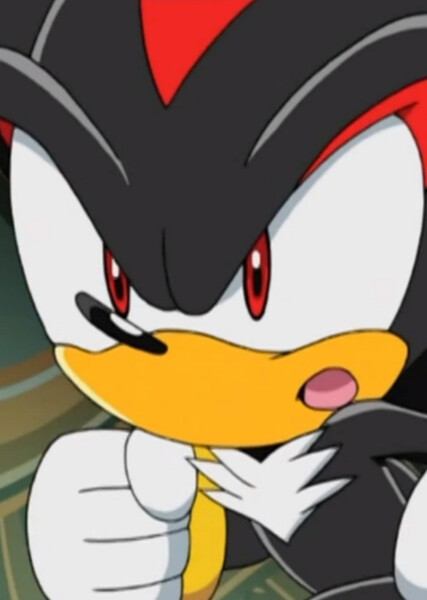 Shadow the Hedgehog (Sonic X) photo