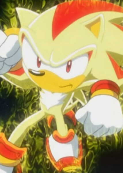 Shadow the Hedgehog (Sonic X) photo