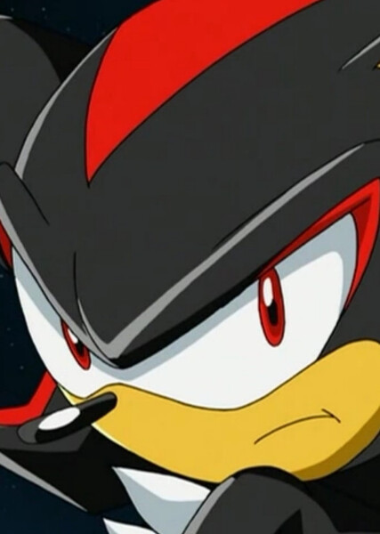 Shadow the Hedgehog (Sonic X) photo