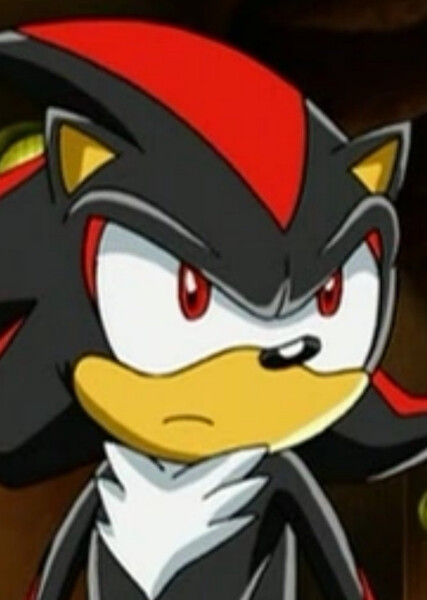 Shadow the Hedgehog (Sonic X) photo