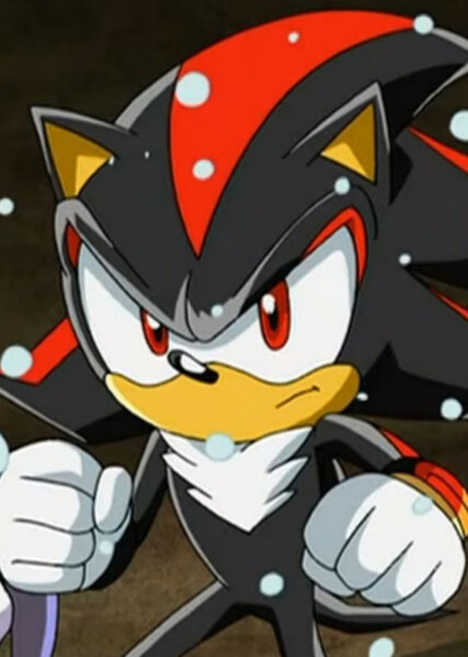 Shadow the Hedgehog (Sonic X) photo