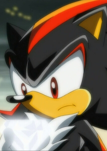 Shadow the Hedgehog (Sonic X) photo