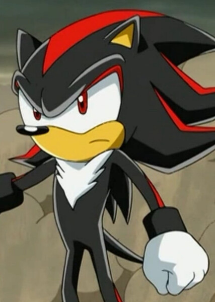 Shadow the Hedgehog (Sonic X) photo