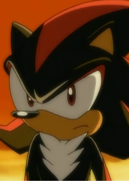 Shadow the Hedgehog (Sonic X) photo