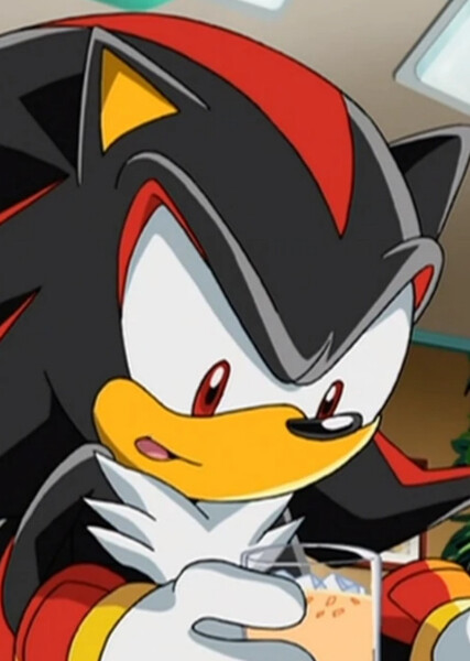 Shadow the Hedgehog (Sonic X) photo