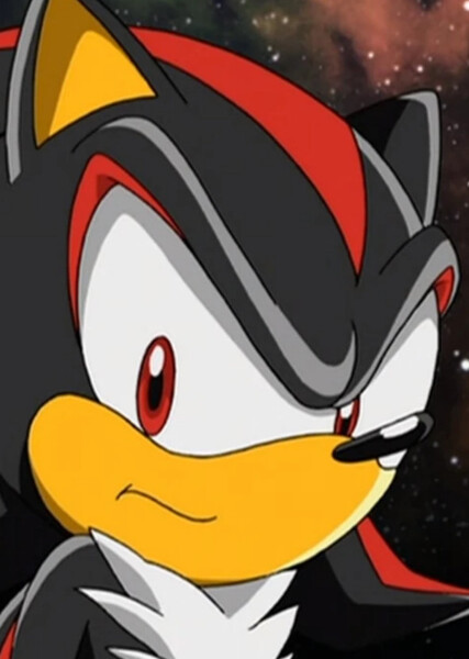 Shadow the Hedgehog (Sonic X) photo