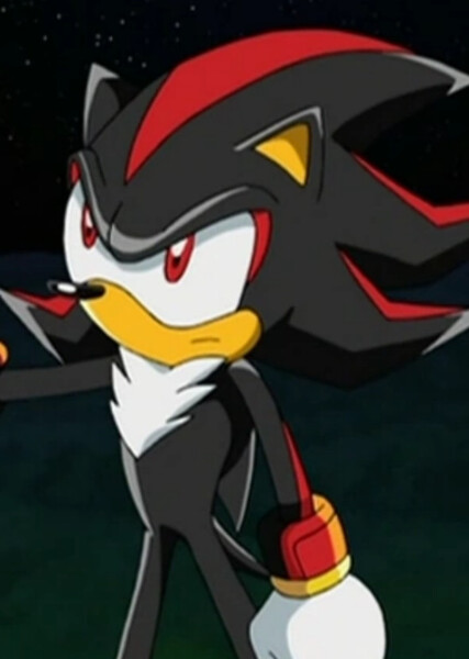 Shadow the Hedgehog (Sonic X) photo