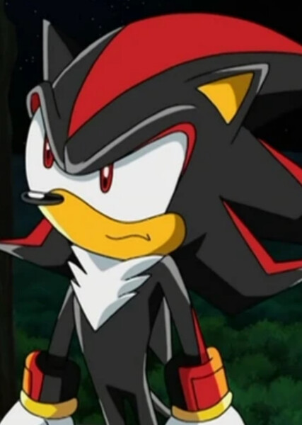 Shadow the Hedgehog (Sonic X) photo