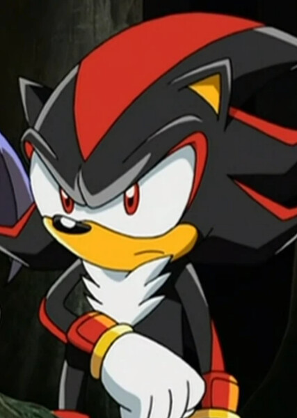 Shadow the Hedgehog (Sonic X) photo