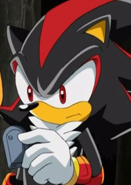 Shadow the Hedgehog (Sonic X) photo