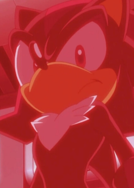 Shadow the Hedgehog (Sonic X) photo