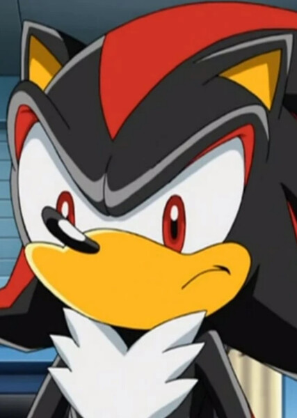 Shadow the Hedgehog (Sonic X) photo