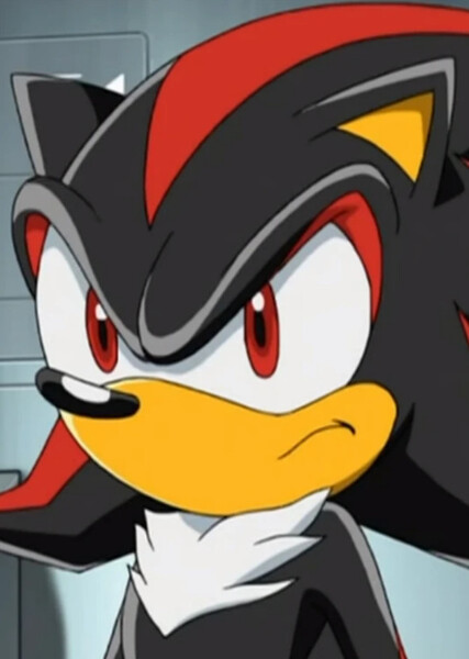 Shadow the Hedgehog (Sonic X) photo