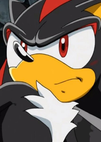 Shadow the Hedgehog (Sonic X) photo