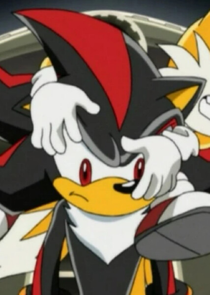 Shadow the Hedgehog (Sonic X) photo