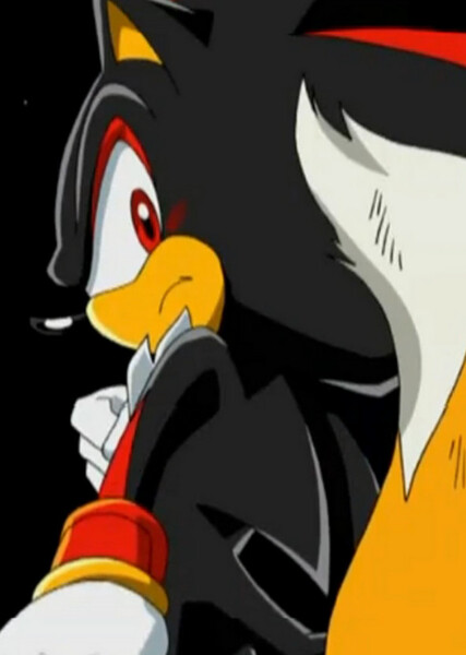 Shadow the Hedgehog (Sonic X) photo