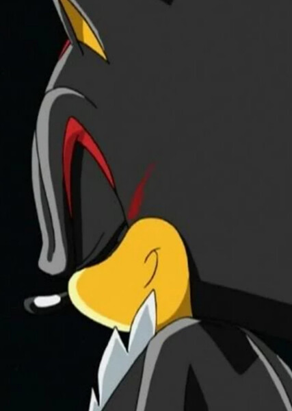 Shadow the Hedgehog (Sonic X) photo