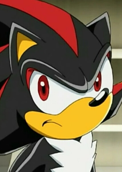 Shadow the Hedgehog (Sonic X) photo