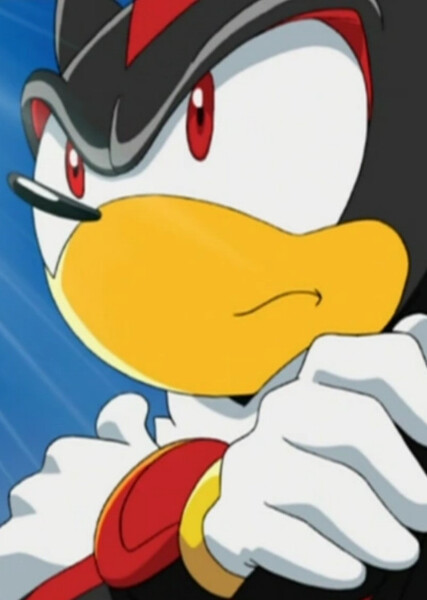 Shadow the Hedgehog (Sonic X) photo