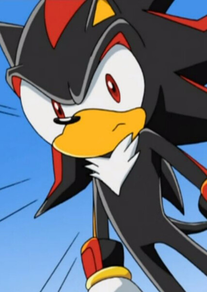 Shadow the Hedgehog (Sonic X) photo