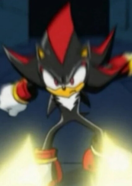 Shadow the Hedgehog (Sonic X) photo
