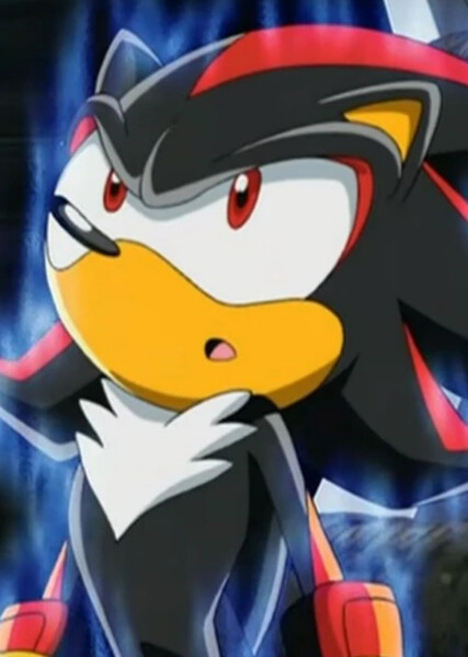 Shadow the Hedgehog (Sonic X) photo