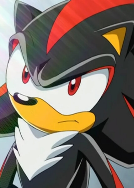 Shadow the Hedgehog (Sonic X) photo