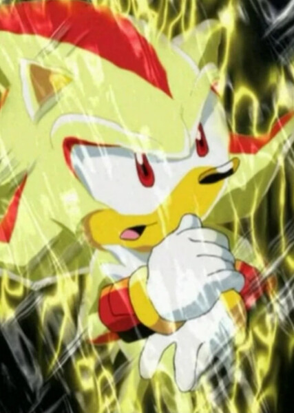 Shadow the Hedgehog (Sonic X) photo